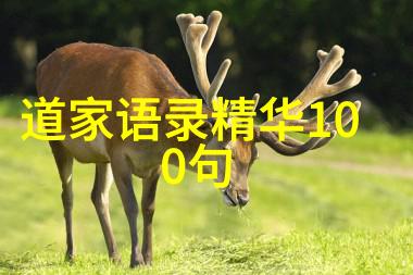 在心灵深处寻找力量理解无欲女人的生活方式