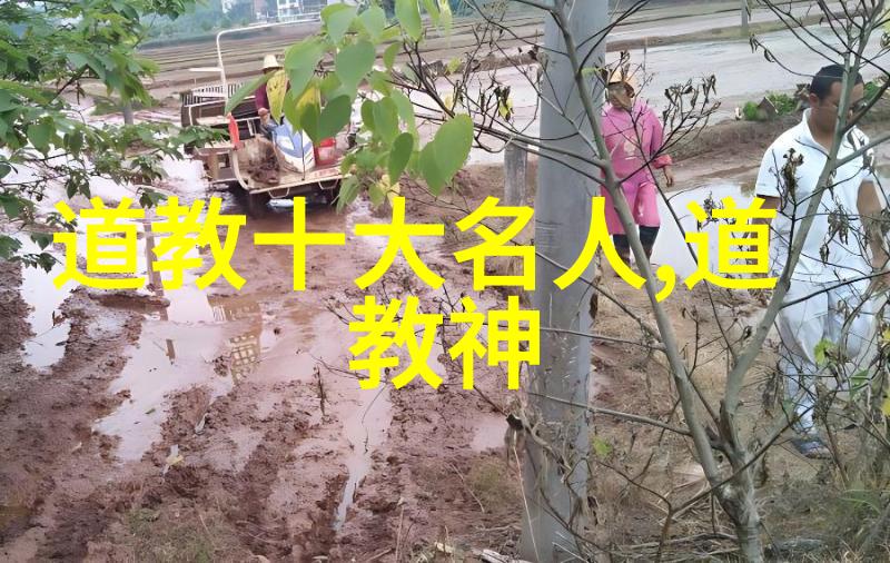 化缘的艺术解读女性在传统文化中的慈善角色