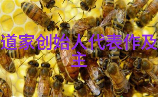 王弼解读庄子释放了哲学之光