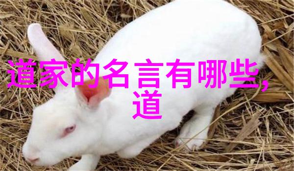 道德经智慧引导道德经中的深邃智慧