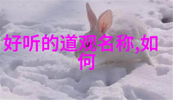 道德经全文播放智慧的无声交响