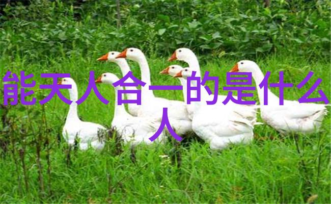 从云游到炼丹道士的奇幻修行日记
