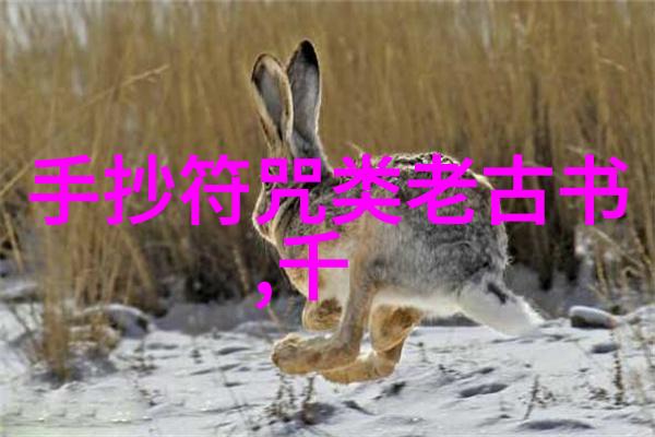 道家和儒家的根本区别 - 天地不仁以万物为刍狗探索两大思想体系的核心差异