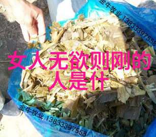 道家三大代表人物-老子庄周与列子探索道家的智慧源泉