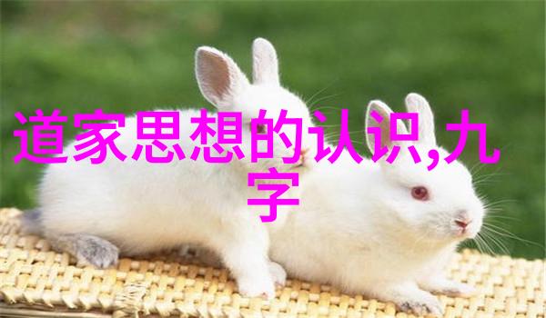 香寒亲自尝遍冬日里最暖心的味道