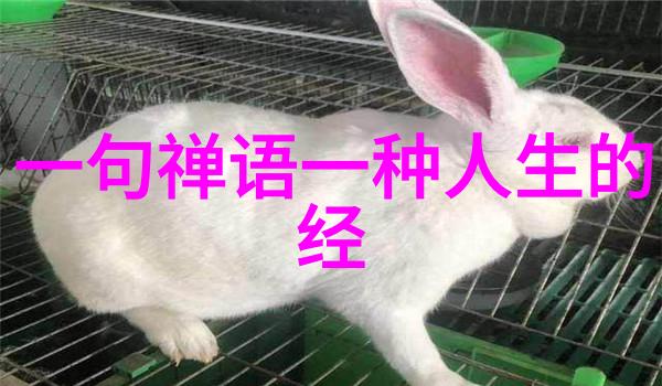 儒家道家法家墨家代表人物及思想深度解析孔子老子韩非子墨子的哲学