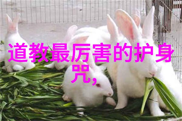 老子最霸气的一句话我告诉你天下万物皆将不朽