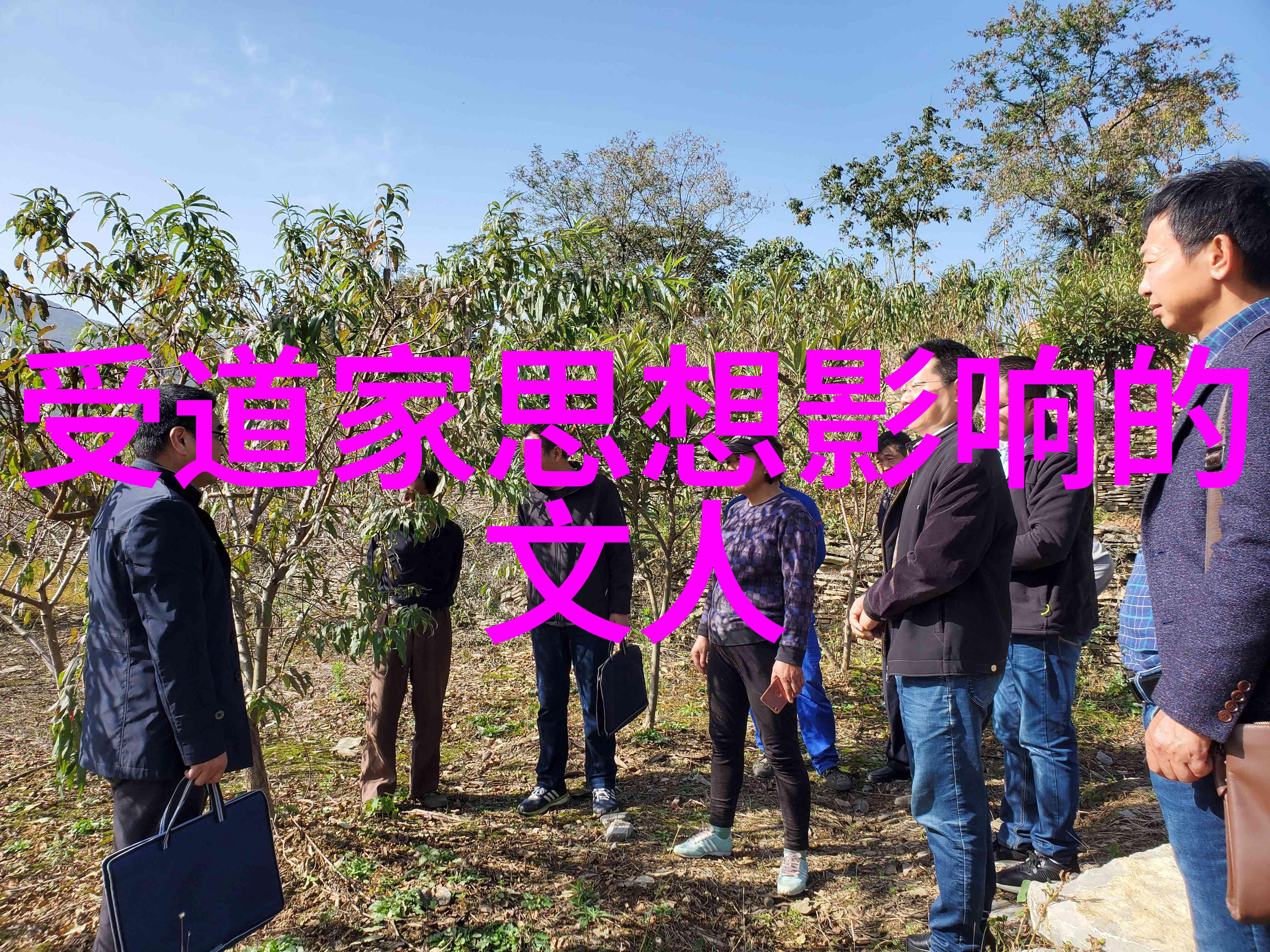 道教神仙-天界游仙道教神仙的奇幻历险