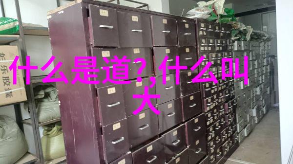 超越时代界限跨文化视角下的道法自然文学作品