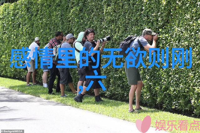 无为方能无所不为智慧的本源与行动的艺术