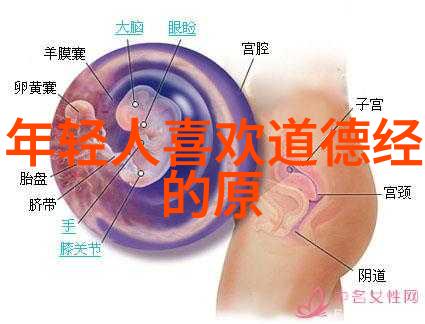 道家文化经典道教经典之源与影响