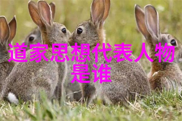 在这片寂静的夜晚你是否曾经站在星辰之下深思过先天下之忧而忧的哲学