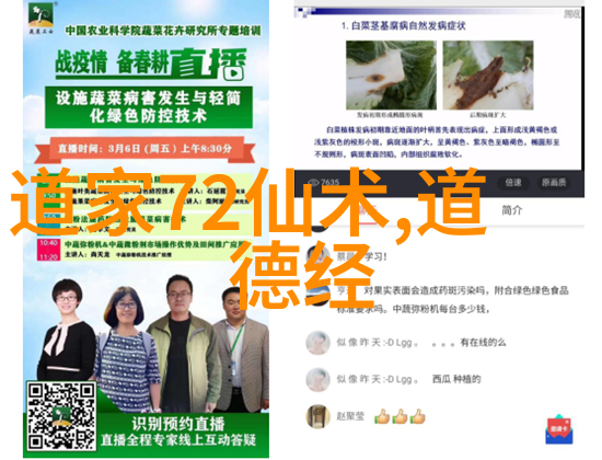 道家萌宝的秘密是什么它们是如何在古老的修炼中成长的呢