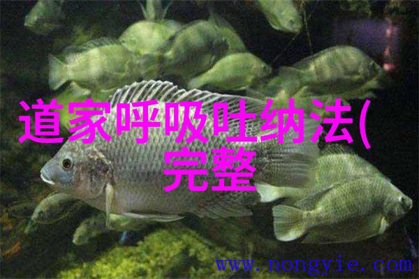 杜光庭太上感应篇的作者讲述了武则天求长生记事