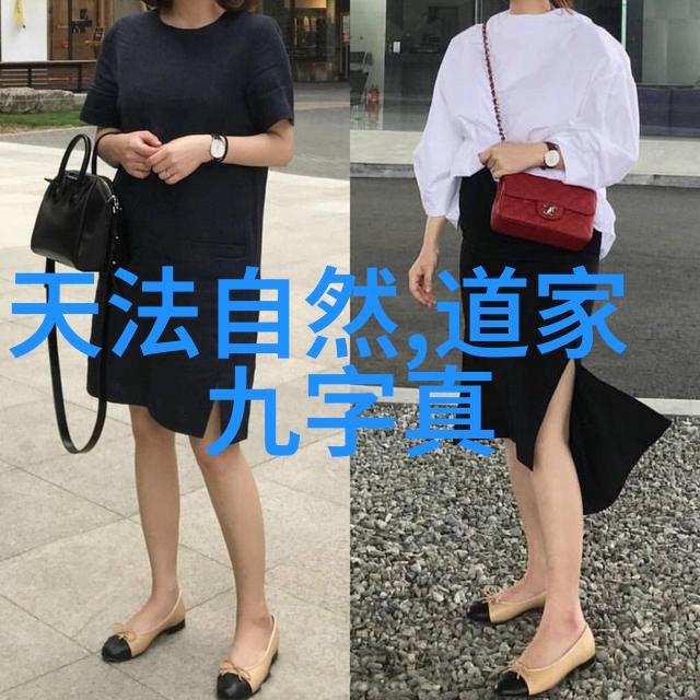 李清照的诗词艺术如梦令与声声慢