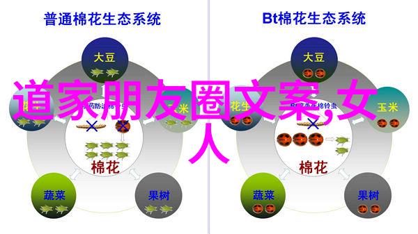 道家著名人物都有谁我告诉你老子庄子这些大佬们是啥样人