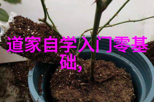 心无为而行无不为内心自由的生活态度