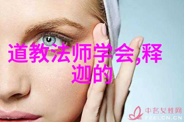 在中国哲学史上道法自然这一概念占据什么地位