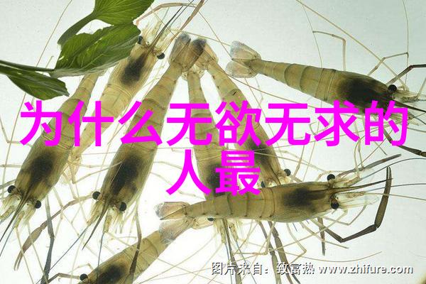 九字真言与其他功法相比有哪些独特之处