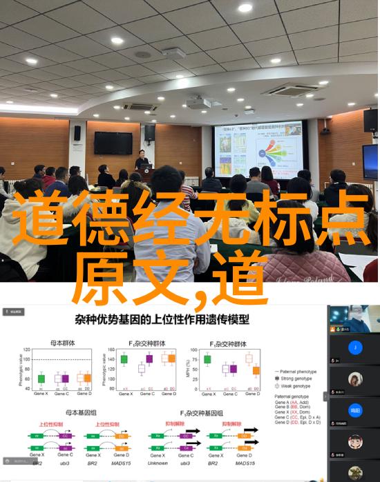 主题我眼中的中国最经典书法名句从天地不仁以万物为刍狗到唯有感恩探索这段文化历史的脉络