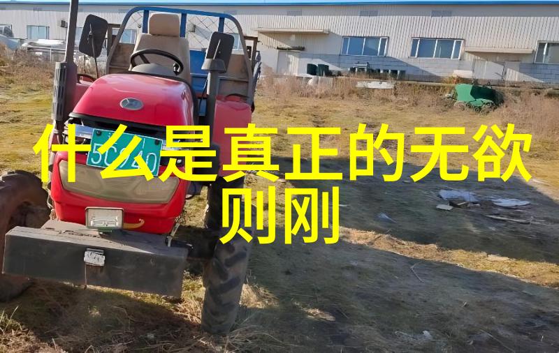 道德经的道法自然怎么理解 - 顺应天地深入解读道法自然的哲学内涵
