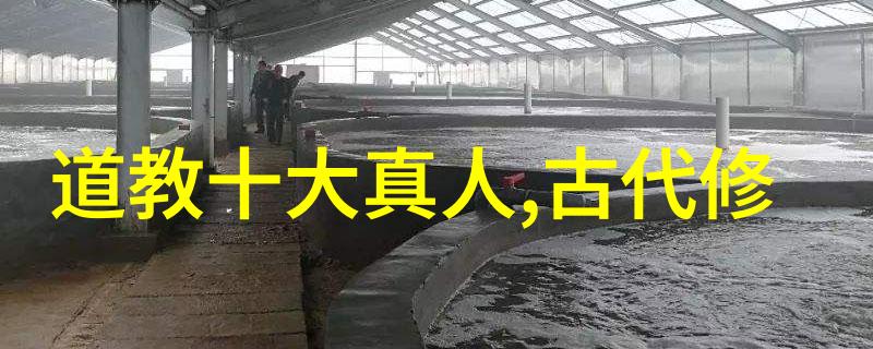 怎样成为一名道士我是如何悄然变身的道士修行秘籍与心得分享