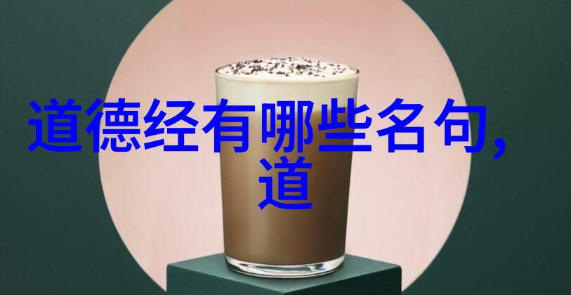 论王安石学派的老学思想 刘固盛