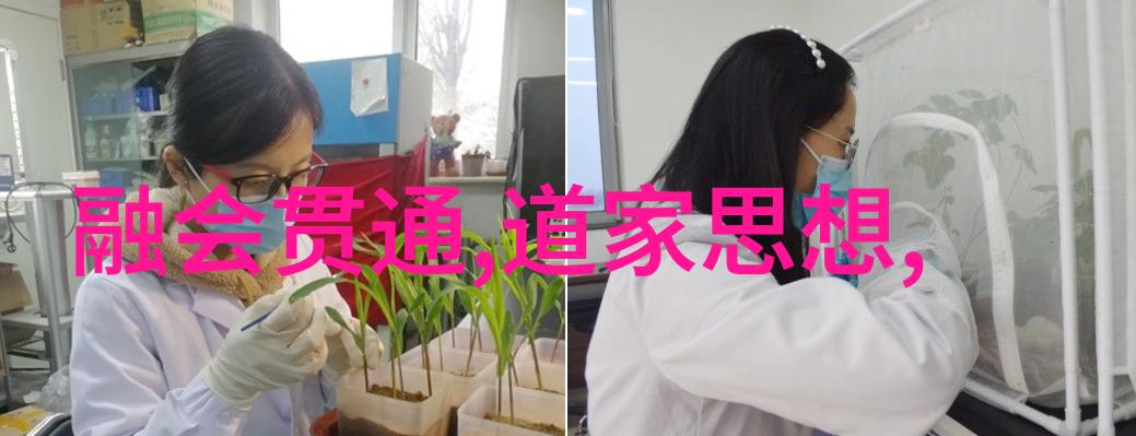 什么是道解析常无为而无不为的深意