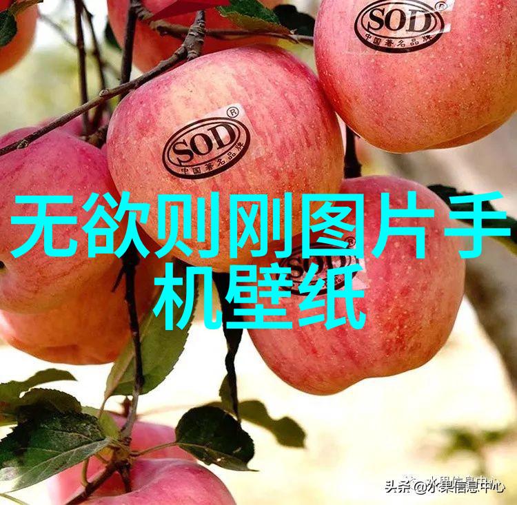 天地无为也而无不为也的哲学深度解析道家思想中的自然和谐