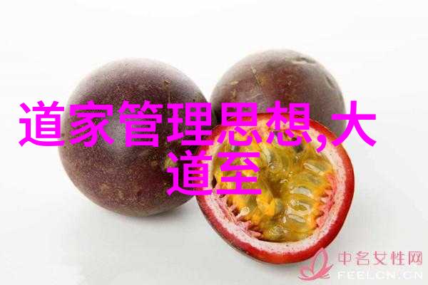 道家文化的杰出代表人物道教历史上的重要修行者