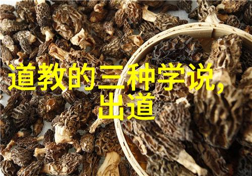 道教圣贤与经典理解道家的宗师智慧
