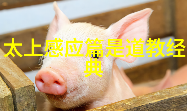 书圣新篇章中国当代书法家第一名的艺术辉煌