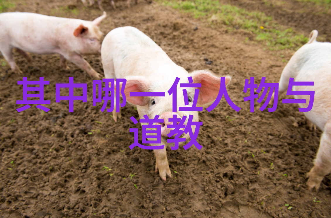 宋词韵味小学生的文化盛宴