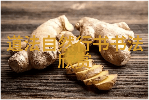 道德经的诠释穿越时空的智慧之光