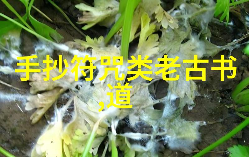 探索中国多元民族的文化宝库跨越边界的共鸣与独特魅力