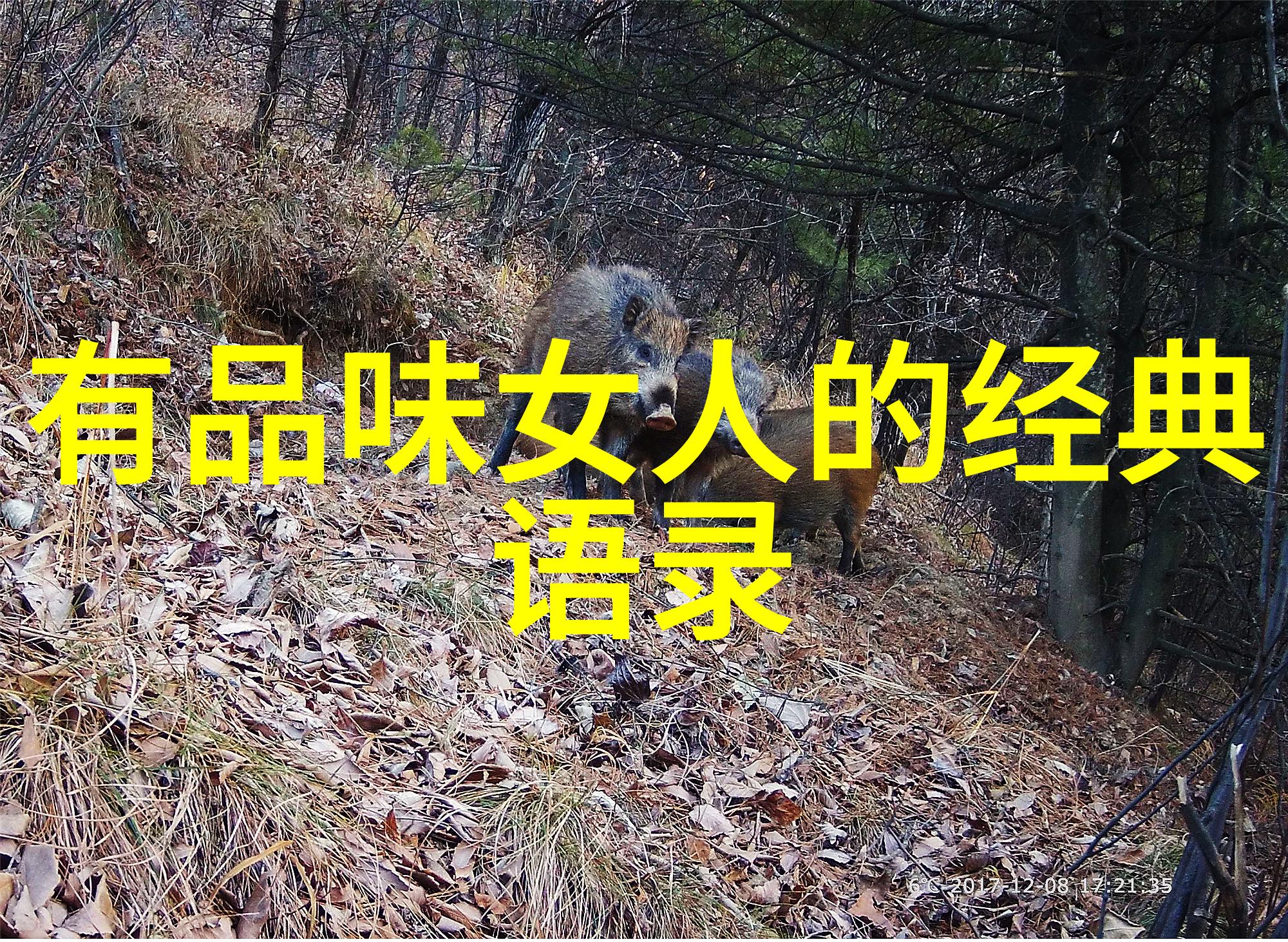 深度开发1V3梁医生不可以限梁医生的深度策略与3对1的挑战