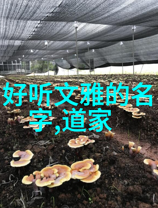 道德经中的智慧老子十句金言
