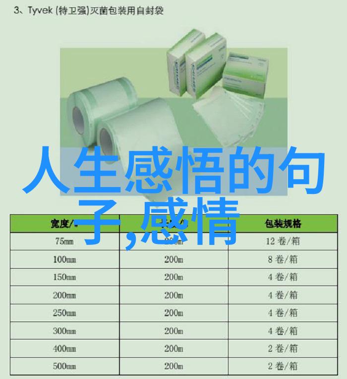 历史见证通过免费PPT课件探索古代文学精华