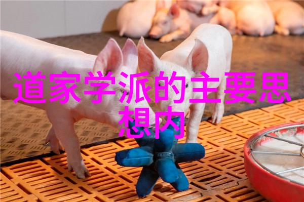 走进西游记的世界发现隐藏在文字间的哲学深度