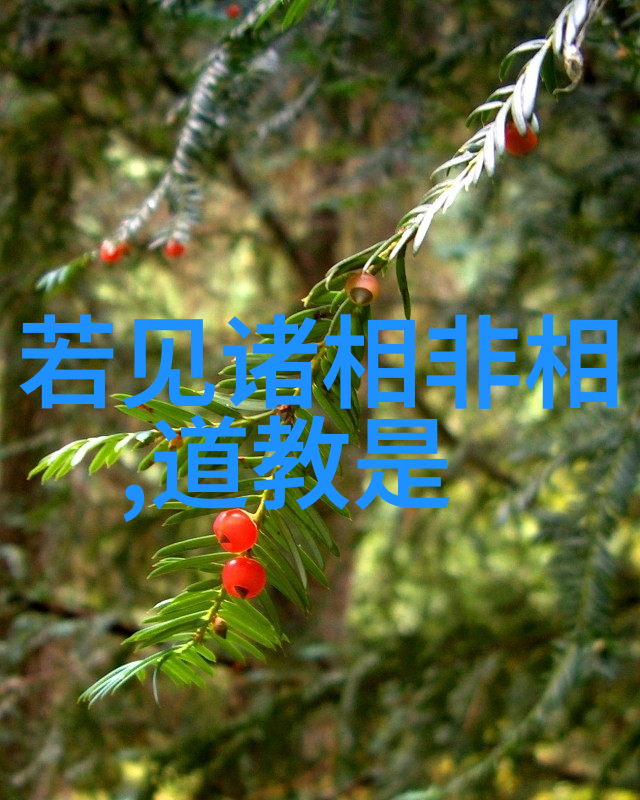 道德经与现代管理如何通过执一提高团队效率