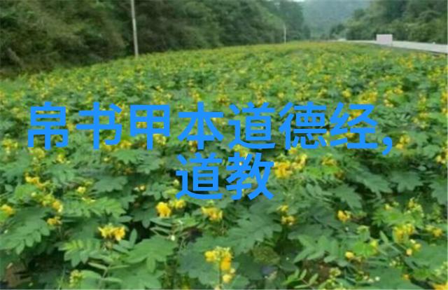 二年级探索老子智慧道法自然的启示