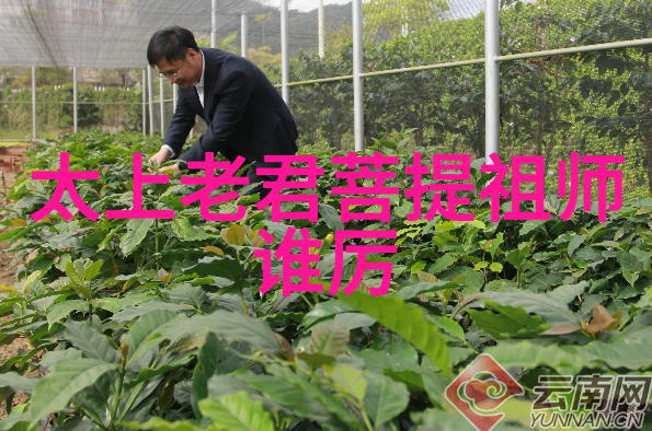 津渝视频完整版百度云