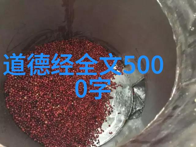 老阿姨的美食世界-探索老阿姨才是最有味的一区二区揭秘传统家常美食