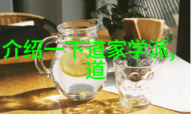 从山林到宫廷国家养的道家高人的奇遇故事