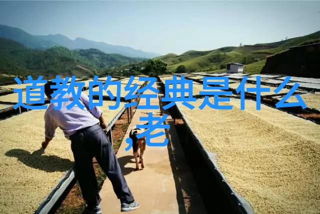 怎样做到无欲则刚我是如何变得心如止水坚定不移的
