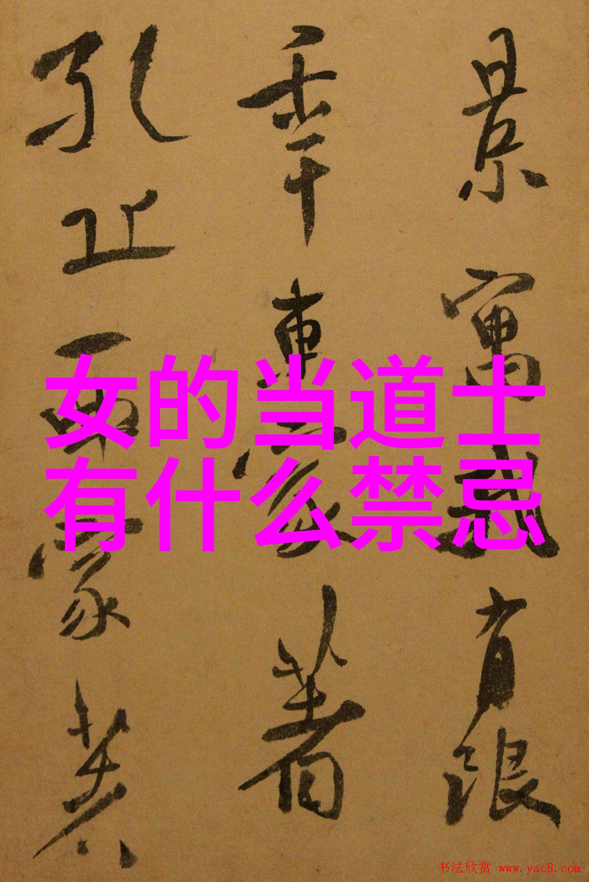 元史本纪卷八