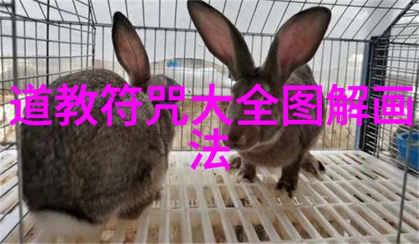 探究得道境界的哲学与心理机制从古典智慧到现代认知科学的视角
