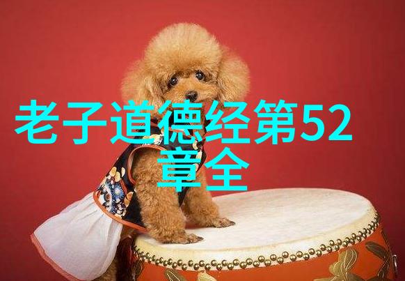 书法小楷艺术的精妙笔墨之间的韵味与技巧探究