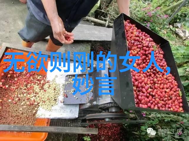 修道生活与情感的交织探索隐秘之爱