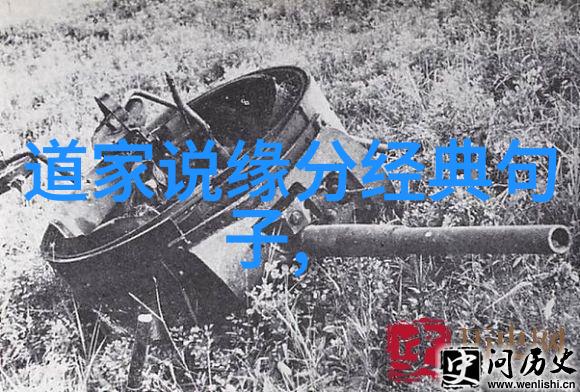龙泽萝拉的逆袭之旅揭秘第二部背后的故事线和角色发展